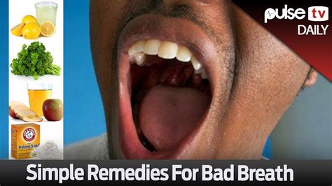 simple remedies for bad breath pulse daily youtube
