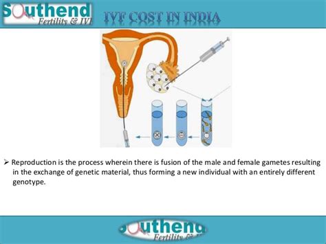Ivf Cost In India Ivf Ivf Treatment Ivf Success Rate