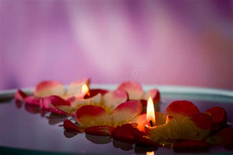 Floating Candles With Rose Petals Stock Photo Image Of Essentials