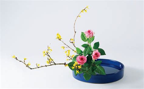Vẻ đẹp Tinh Hoa Ikebana Nhật Bản Báo Phụ Nữ Việt Nam