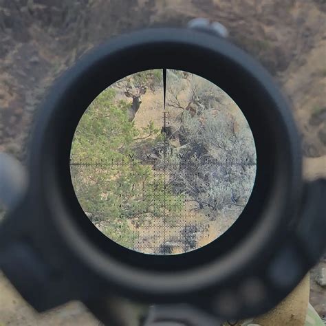 How To Use The Leupold Tri Moa Reticle Hunterzonepro