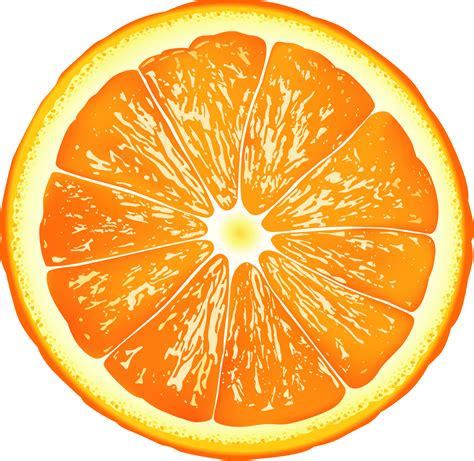 Download Orange Slice Png Transparent Png Download Seekpng