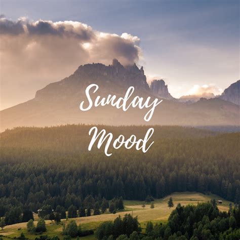 Sunday Mood Playlist By Christopherching Spotify