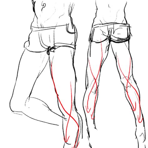 Male Body Reference Drawing Legs Please Visit Their Website If You