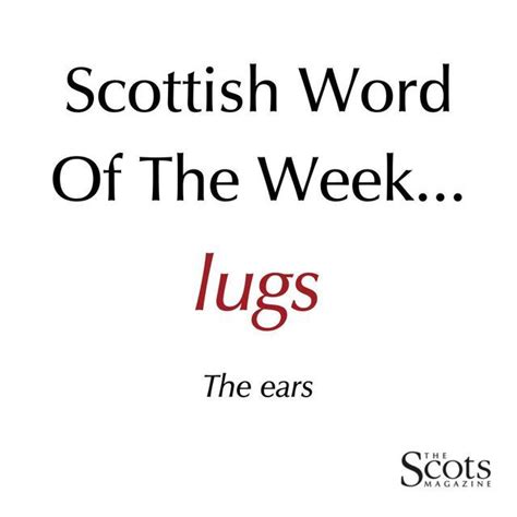 Pin On Scottish Words
