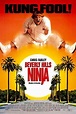 Beverly Hills Ninja - MoviePooper