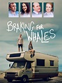 Braking for Whales (2019)