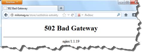 How I Fixed Nginx 502 Bad Gateway Error
