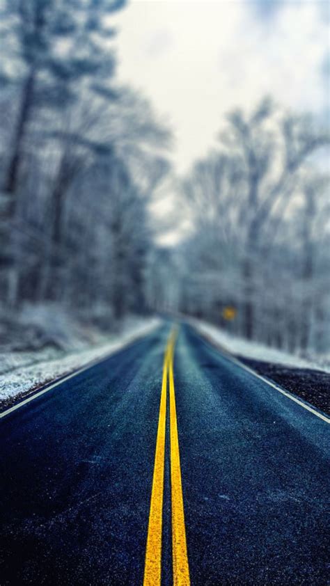 Road Wallpaper Hd Background Pine Red Trees Road 4k Ultra Hd Mobile