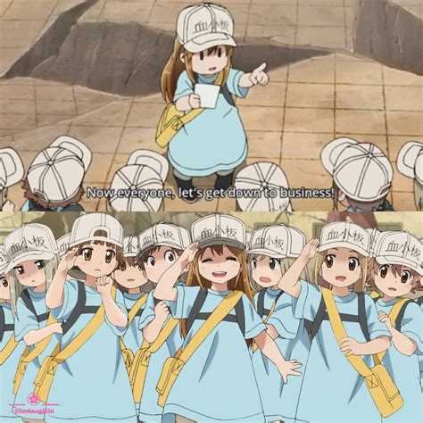 Adorable Platelets In Cells At Work