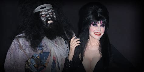 Elvira Mistress Of The Dark Costume
