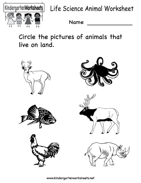 Science Printables For Kids Life Science Animal Worksheet Free
