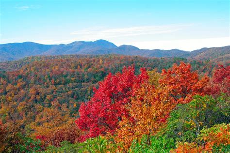The 7 Best Places For Fall Foliage On The Blue Ridge Parkway