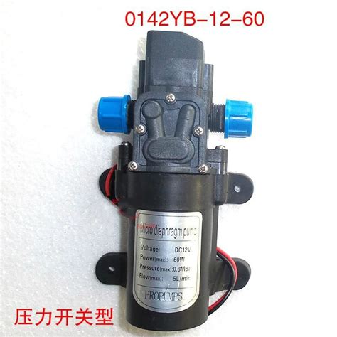 Dc 12 Volt 60w 5lmin Small Automatic Pressure Switch 12 V Water Pump