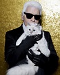 Karl Lagerfeld's Cat, Choupette - Collaborates With LucyBalu