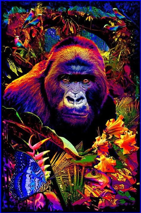 Gorilla Encounter Non Flocked Blacklight Poster 24 X 36 The