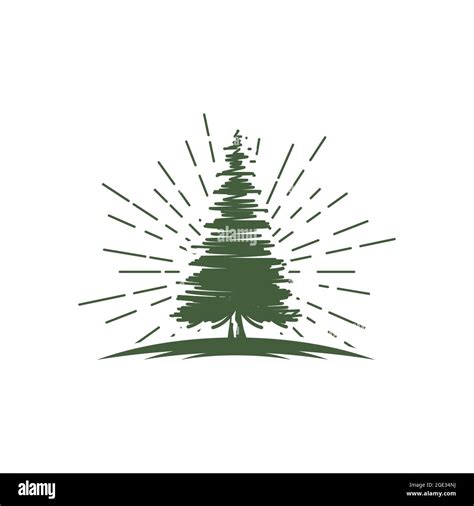 Cedar Tree Vector Icon Illustration Design Template Stock Vector Image