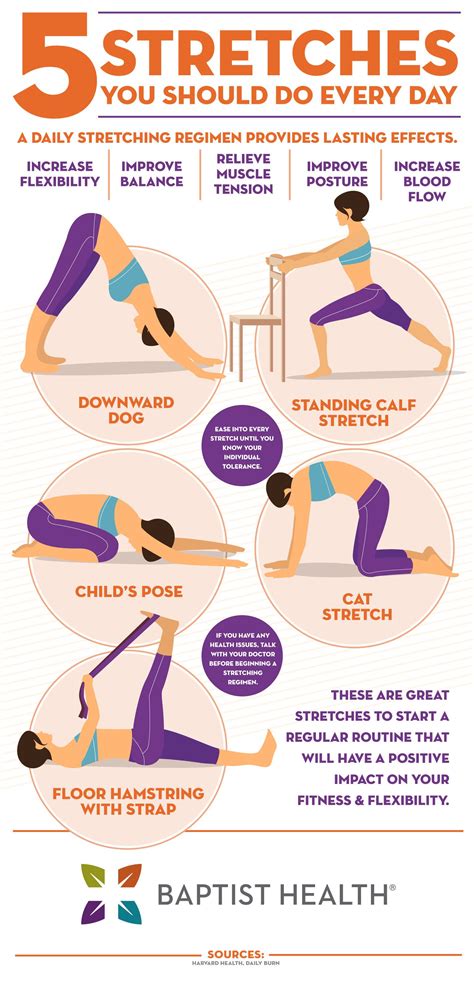 Everyday Stretches Infographic Best Stretching Exercises Daily Stretching Routine Daily