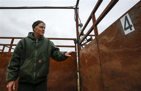 The Return Of The Bison Wild Herds Again Roam Illinois Iowa