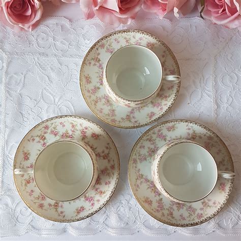 Antique Tea Cup And Saucer Mz Altrohlau Cmr Czechoslovakia Bridal Rose Pattern Czech Porcelain