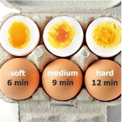 We did not find results for: Uova bollite: trucchi e tempi by Finna - Pagina 1