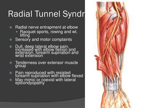 Ppt Upper Extremity Overuse Injuries Powerpoint Presentation Free