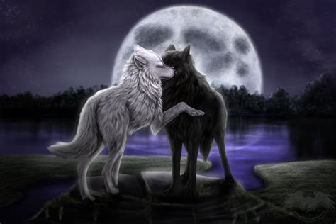 66 Anime Wolf Wallpaper