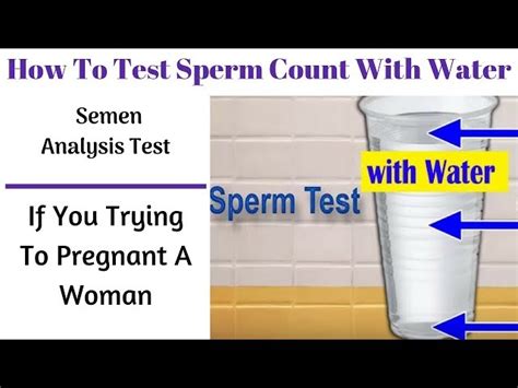 How To Conduct Sperm Count Test At Home Easy Steps Health Gadgetsng