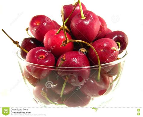Bing Cherries Stock Image Image Of Stem Nutritious