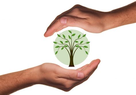 7 Top Reasons To Support Eco Friendly Local Businesses