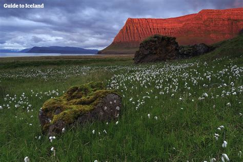 Midnight Sun In Iceland Guide To Iceland