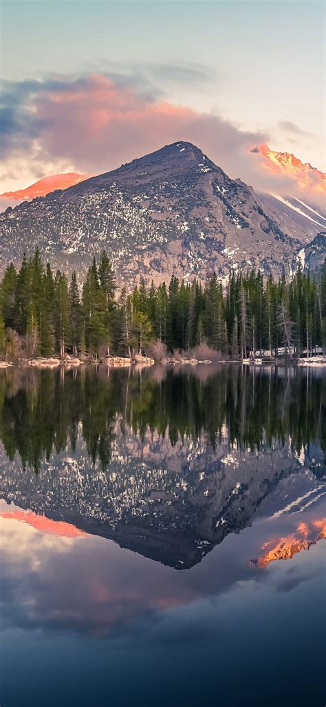 1242x2688 Bear Lake Reflection At Rocky Mountain National Park 4k