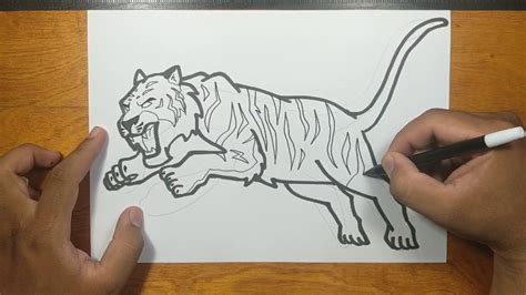 How To Draw Tiger Jumping Step By Step Youtube