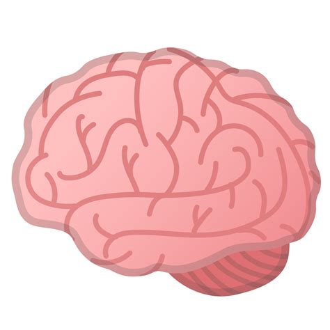 Mapa Mental Del Cerebro Png Cerebro Pensamiento Del M