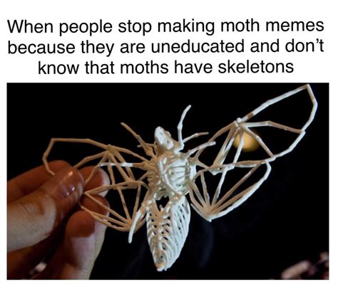 Move Over Moth Memes Spooky Memes Are Here Just In Time For Halloween