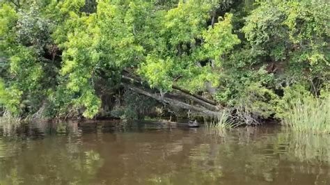 Boating On Lake Talquin Quincy Florida Youtube