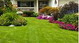 Adams Lawn And Landscaping Photos