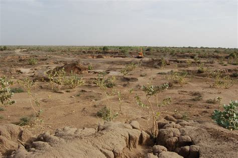 Soil Erosion And Desertification —