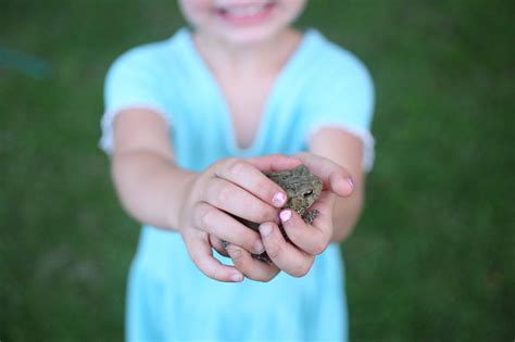 A Whole Home Cleaning Schedule Fly Lady Style The Everyday Farmhouse