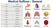 Medical Suffixes Made Easy: List, Meanings, Example Terminology, Quiz ...