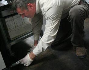 Adams offers its disciplined & perfect services for. Comal Pest Control - Comal County and New Braunfels ...