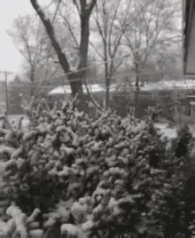 Snow Snowing Gif Snow Snowing Discover Share Gifs