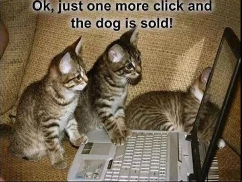 53 Hilarious Technology Memes Images S And Photos Picsmine