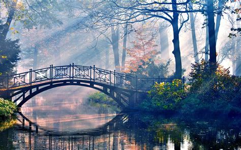 Forest River Bridge Trees Reflection Wallpapers Hd