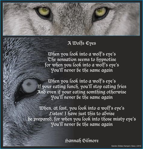 A Wolfs Eyes Poemhannah Gilmore Wolf Eyes Animal Totems Spirit