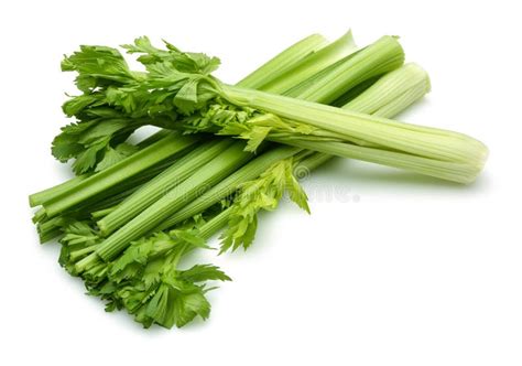 Celery Stock Image Image Of Drink Root Diet Lifestyle 68781633