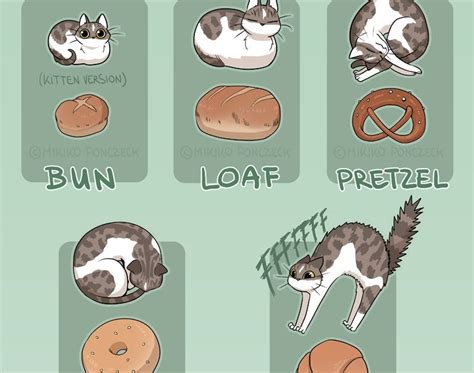 The Best 17 Cat Loaf Bread Meme Kaitlynmasek