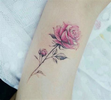 Watercolor Rose Tattoos Pink Rose Tattoos Rose Tattoos For Men