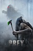 Prey (2022) — The Movie Database (TMDB)