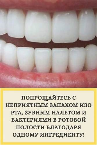 Запах изо рта диета Попрощайтесь с неприятным запахом изо рта и вредными бактериями ротовой Попрощайтесь с неприятным запахом изо рта и вредными бактериями ротовой Запах изо рта диета